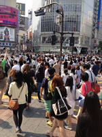 Shibuya Crossing